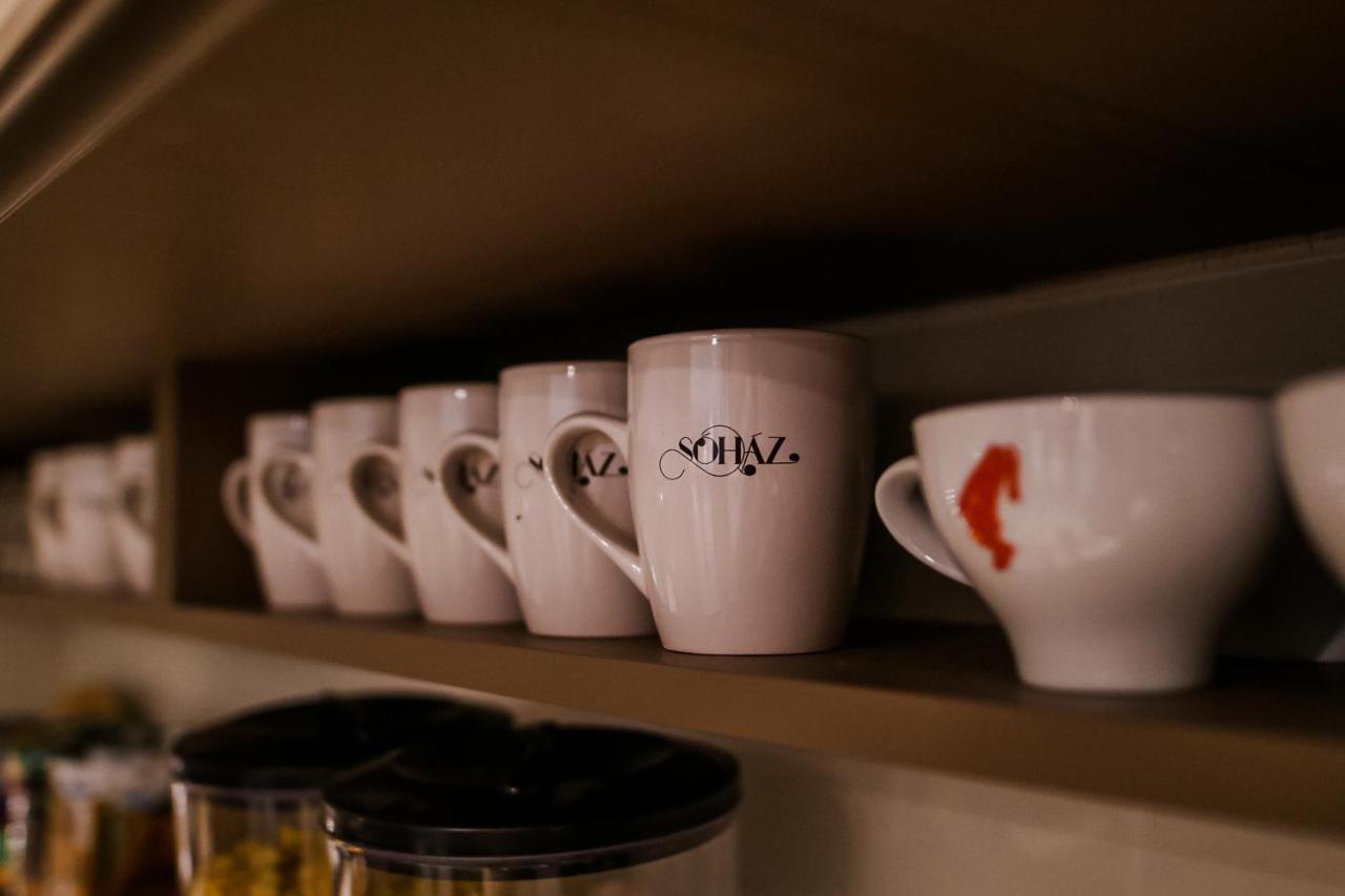Sohaz Panzio Es Apartmanhaz ソルノク エクステリア 写真